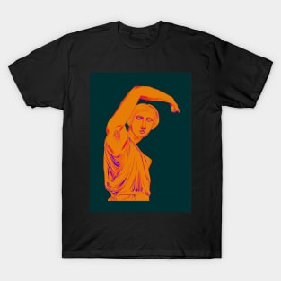 Feminism: Armpit Hair T-Shirt